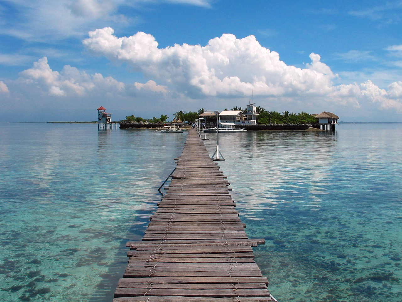 关于宿务岛的旅游~-准备去菲律宾的宿务-薄荷
