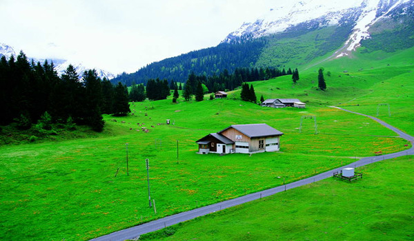 2013年仙居杨梅节_仙居杨梅什么时候上市_仙