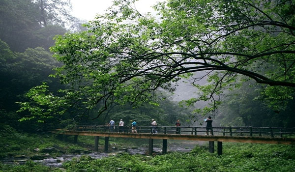 张家界5,6月份旅游天气,温度_5,6月份去张家界