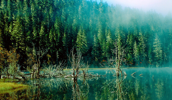 香格里拉7,8月份旅游天气_温度_七月,八月去香