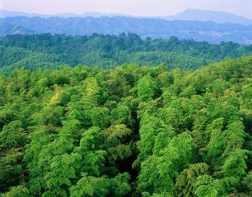 遵义最值得去的地方有哪些