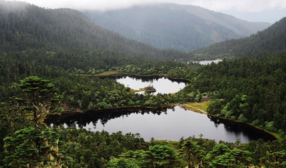 丽江特产有哪些_丽江旅游纪念品有什么