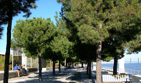 几月去葡萄牙最好_什么时候去葡萄牙最好