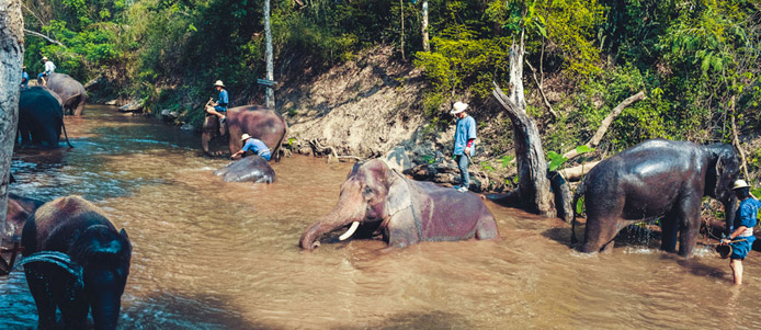 【清迈旅游注意事项】去清迈旅游要注意什么