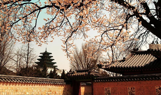 韩国风土人情_当地民俗介绍