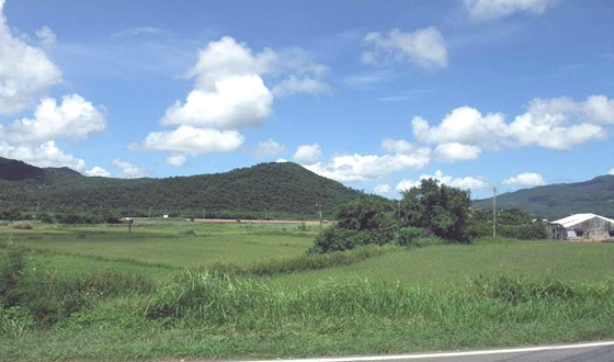 台湾旅游旺季是几月_台湾旅游淡季是什么时候