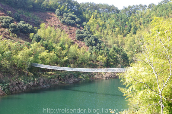 浙江丽水秀水海鲜市场_浙江丽水_浙江丽水松阳县龙井茶