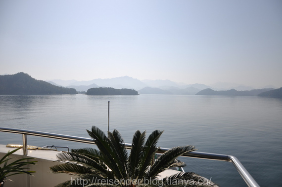 浙江丽水秀水海鲜市场_浙江丽水_浙江丽水松阳县龙井茶