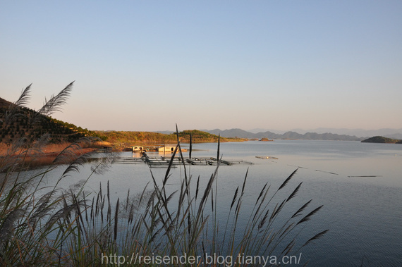 浙江丽水秀水海鲜市场_浙江丽水_浙江丽水松阳县龙井茶