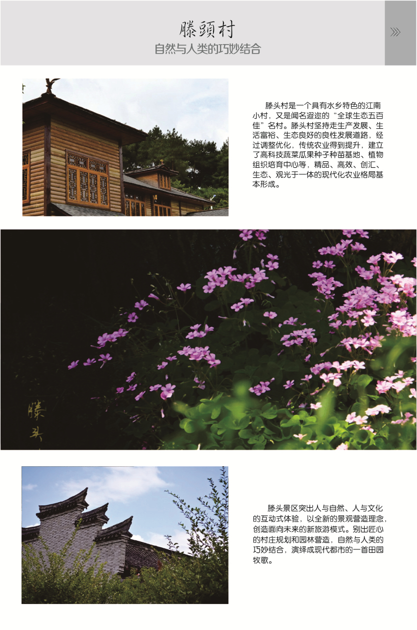 【奉化滕头村】门票_奉化滕头村门票价格_奉化滕头村
