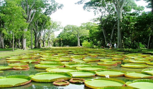 四川九寨神仙池风景区正式对外营业 首次迎来