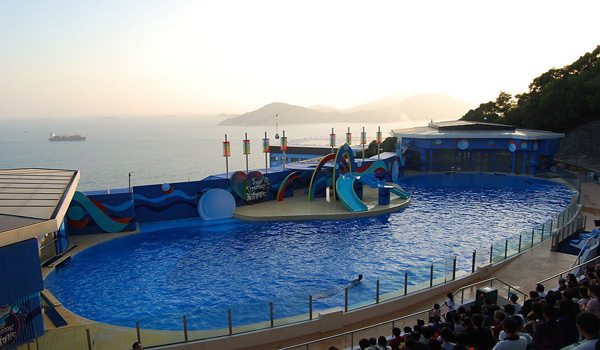 为您盘点香港过年必去的景点_香港不可错的地