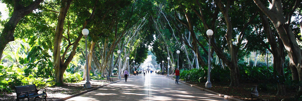 悉尼的著名景点和游玩景区。