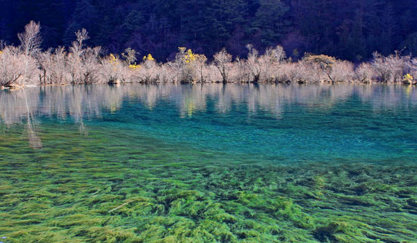 春季旅游去九寨沟怎么样_九寨沟春季旅游好去处