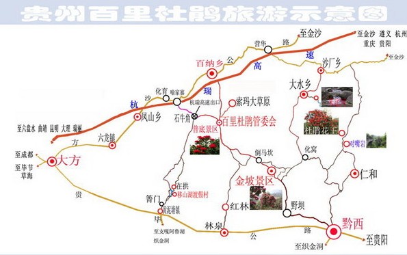 金沙高坪到贵阳走哪条高速路近