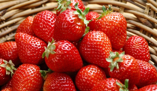 2014成都安仁草莓节开幕时间 2014成都草莓节