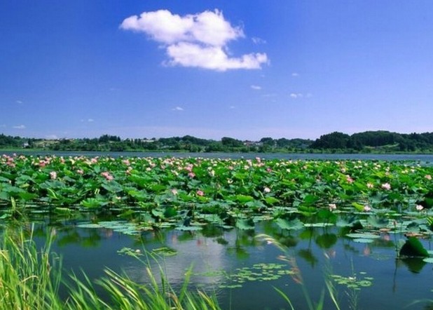 济宁旅游美食攻略-品尝济宁美食