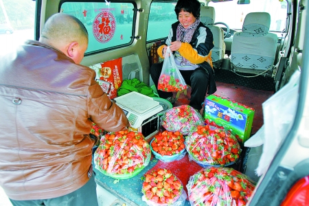 鲜草莓节后市场价格大跌