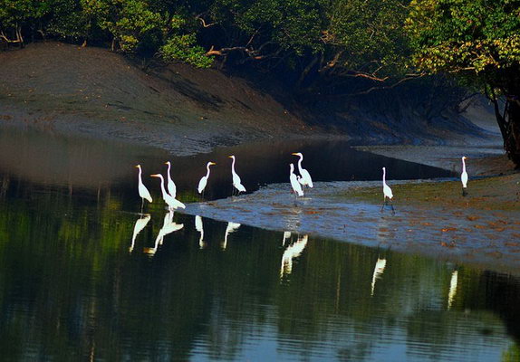 加尔各答的著名景点和游玩景区
