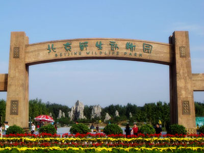 北京野生动物园门票多少钱_北京野生动物园门票价格多少