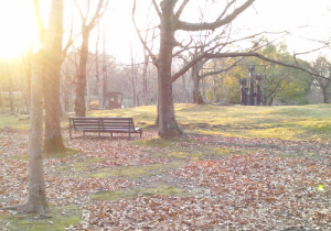 斯里兰卡7,8月份旅游天气_温度_七月,八月去斯