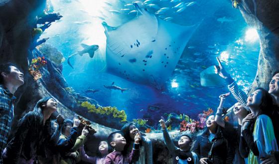 水族馆